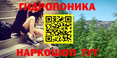ПСИЛОЦИБИНОВЫЕ ГРИБЫ Северобайкальск