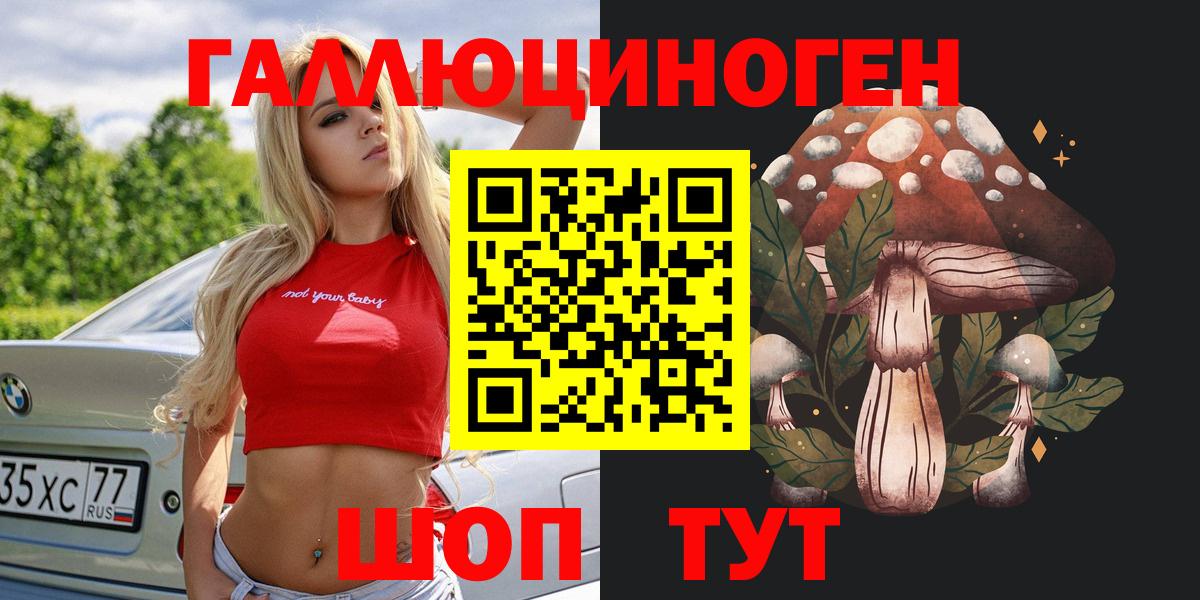 Галлюциногенные грибы Magic Shrooms  Вход с VPN  Псков  Псилоцибиновые грибы Psilocybe 