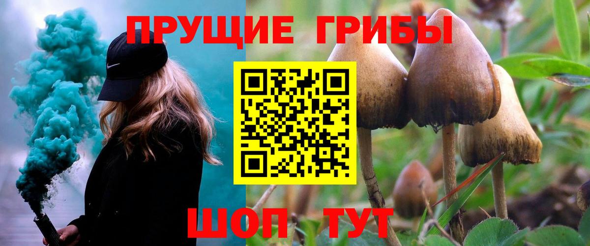 Псилоцибиновые грибы прущие грибы Псков